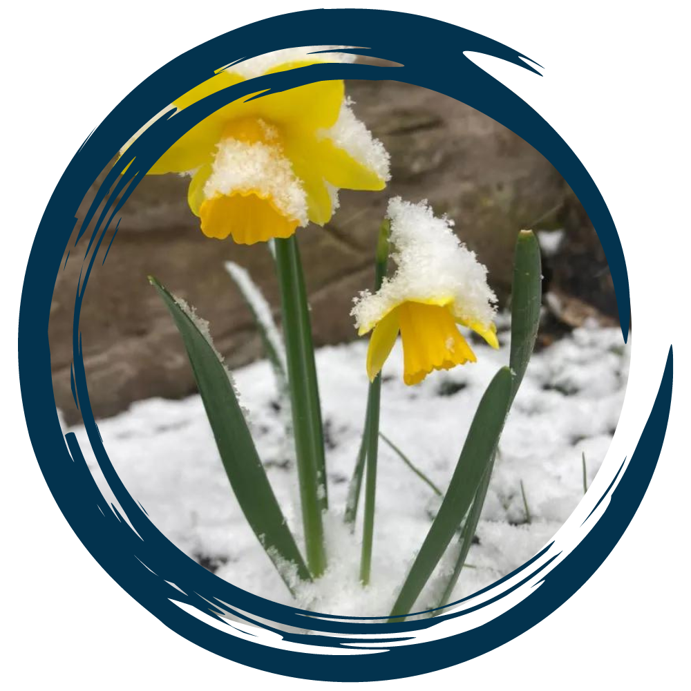 The Hay Handyman - Early Spring