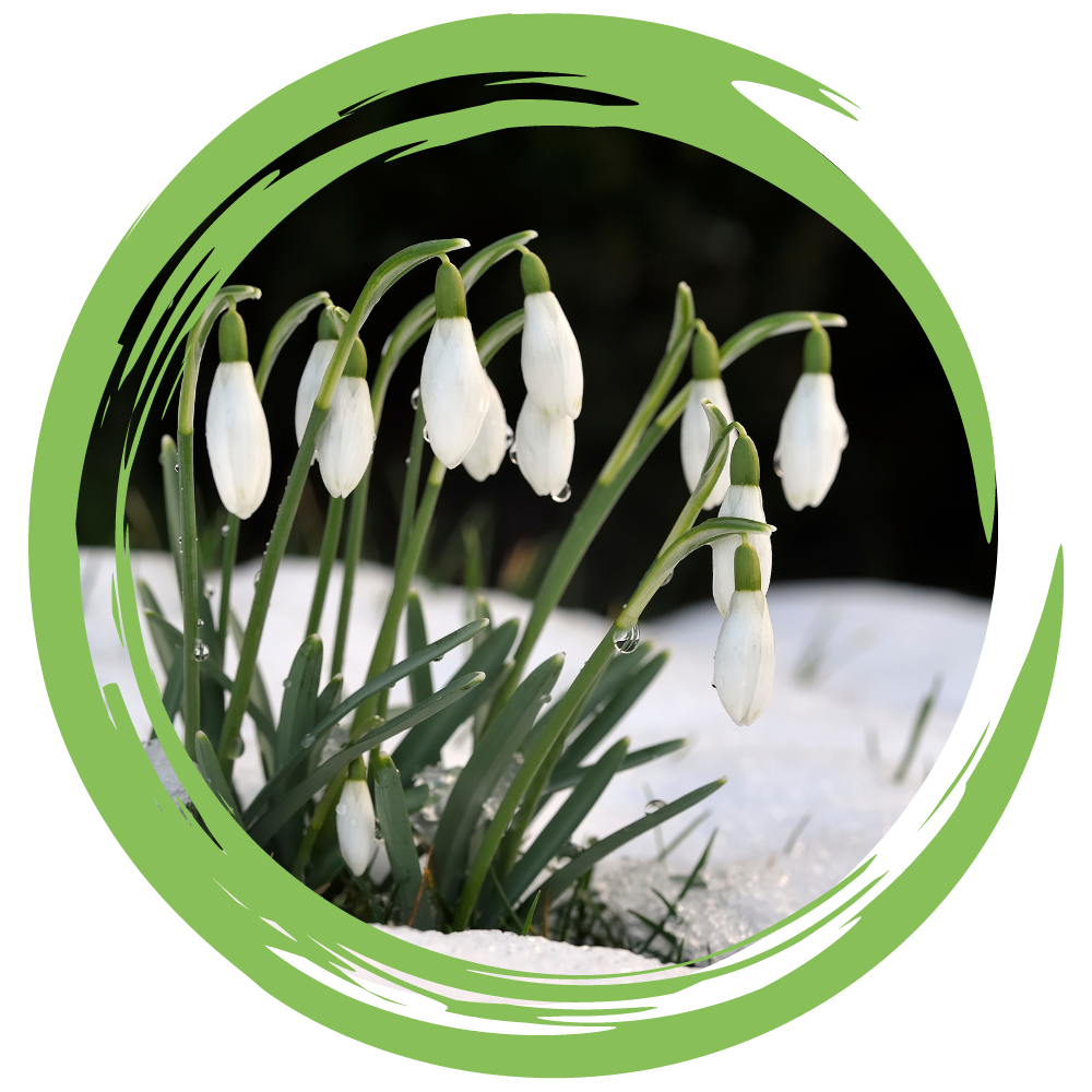 The Hay Handyman - Winter